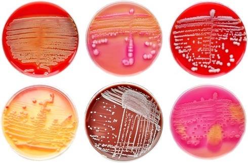 Θρεπτικά Υλικά του οίκου Bioprepare